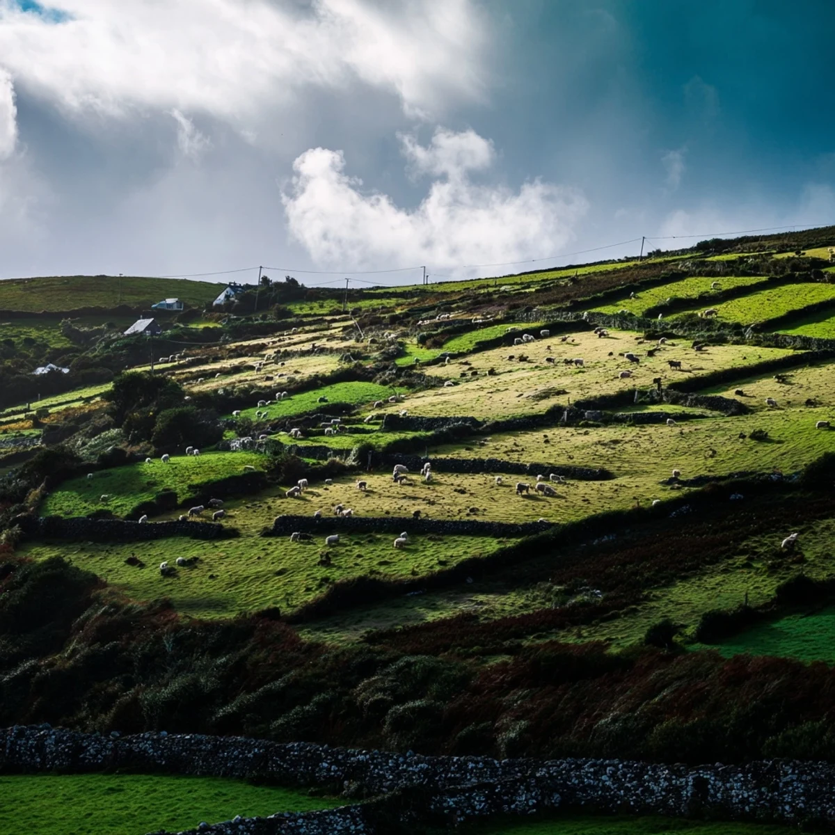 Creamy healthy radish tzatziki dip topped with fresh dill and olive oil drizzle in white serving bowl