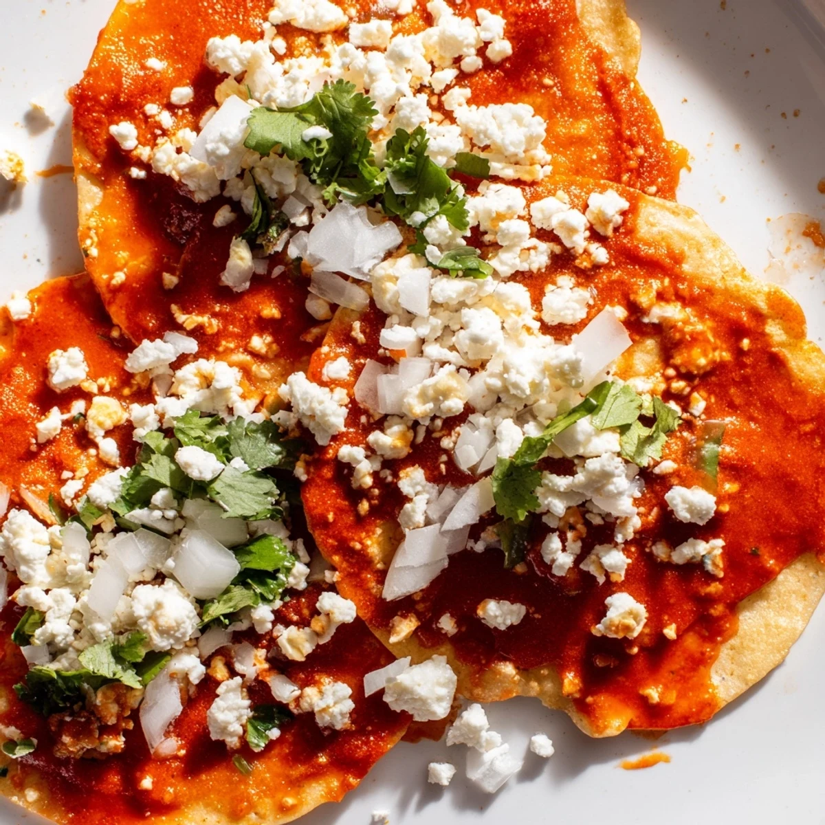 Entomatadas draped in rich red tomato sauce with crumbled queso fresco and fresh cilantro garnish